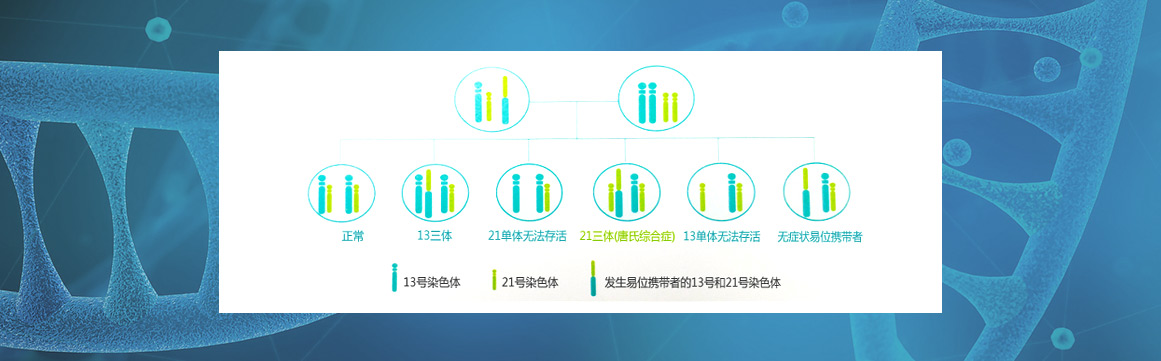 s-pgdtm-罗氏易位携带者pgd检测