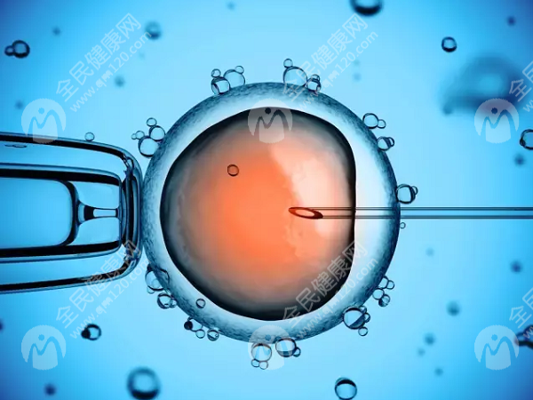 试管婴儿移植鲜胚着床时间，决于胚胎发育的情况
