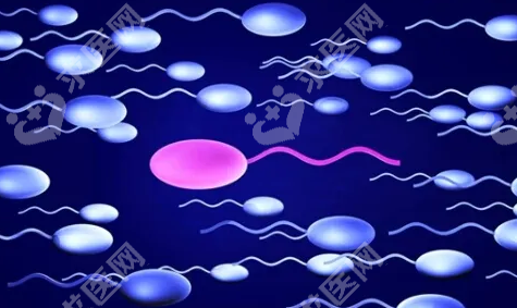 卵泡发育不良试管婴儿有影响吗？