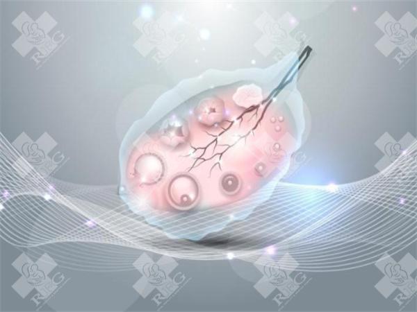 子宫肌瘤会导致胎停吗？胎停怎么会发生？