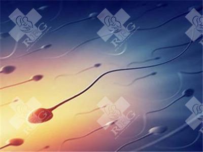 三代试管移植4ab囊胚几天能测出来?