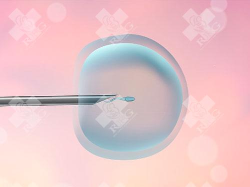 女性卵巢早衰的原因是什么？症状是什么？能做试管吗？