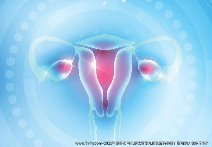 2025年商洛市可以做试管婴儿的医院有哪些?费用纳入医保了吗?