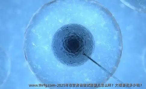 2025年在甘肃省做试管婴儿怎么样?大概要花多少钱?