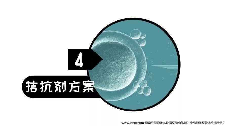 湖南中信湘雅医院有试管储备吗？中信湘雅试管条件是什么？