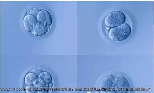 老年试管怀孕有哪些准备哦？决定试管婴儿成败的因素，你真的知道这些吗？