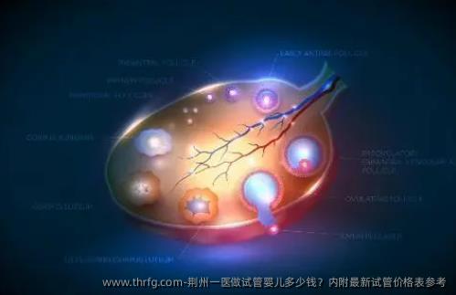 荆州一医做试管婴儿多少钱？内附最新试管价格表参考