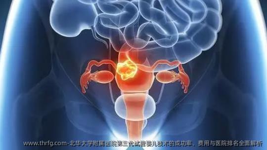 北华大学附属医院第三代试管婴儿技术的成功率、费用与医院排名全面解析