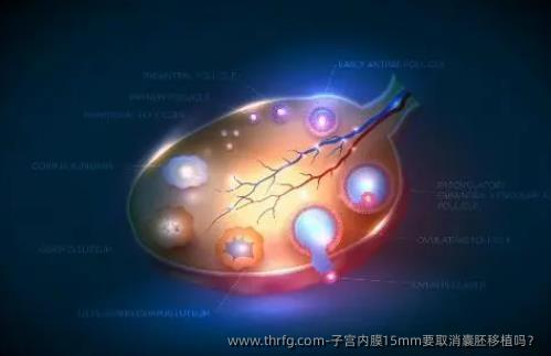 子宫内膜15mm要取消囊胚移植吗？