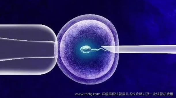 详解泰国试管婴儿省钱攻略以及一次试管总费用