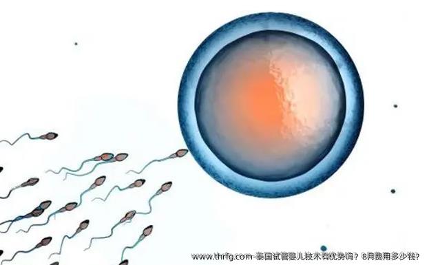 泰国试管婴儿技术有优势吗？8月费用多少钱？