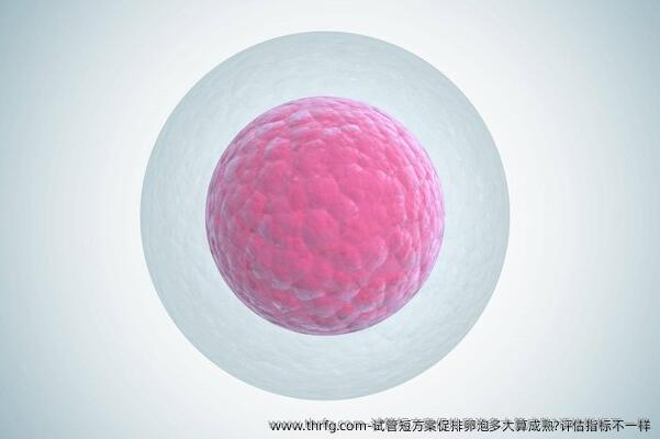 试管短方案促排卵泡多大算成熟?评估指标不一样