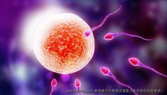 男性精子少想做试管婴儿是否符合试管要求？