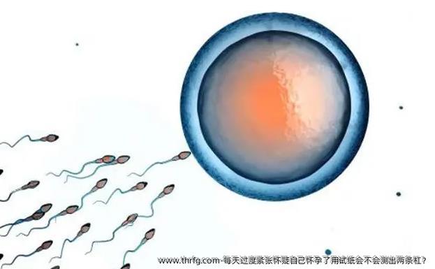 每天过度紧张怀疑自己怀孕了用试纸会不会测出两条杠？