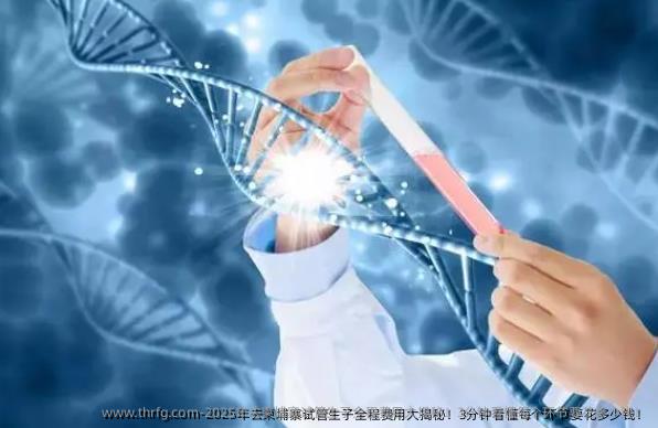 2025年去柬埔寨试管生子全程费用大揭秘！3分钟看懂每个环节要花多少钱！