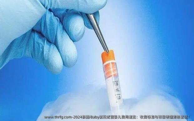 2024泰国iBaby医院试管婴儿费用速览：收费标准与项目明细清晰呈现！