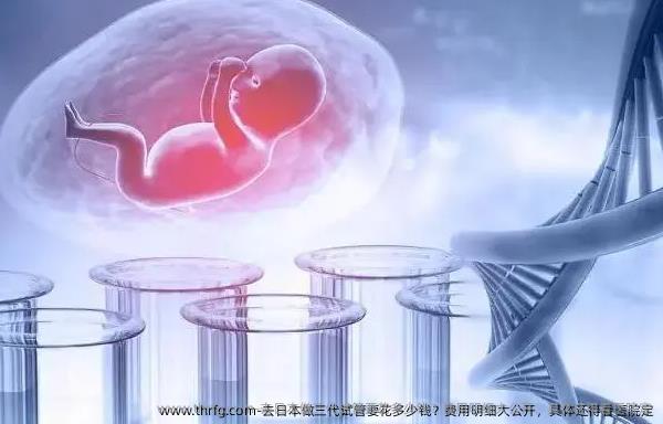 去日本做三代试管要花多少钱？费用明细大公开，具体还得看医院定