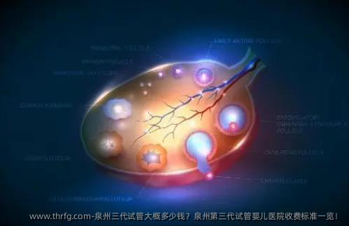 泉州三代试管大概多少钱？泉州第三代试管婴儿医院收费标准一览！