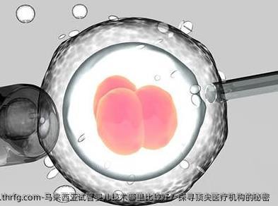 马来西亚试管婴儿技术哪里比较好？探寻优秀医疗机构的秘密 