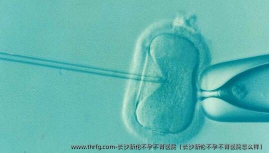 长沙新伦不孕不育医院（长沙新伦不孕不育医院怎么样）