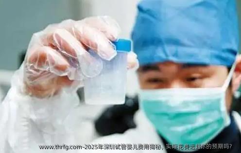 2025年深圳试管婴儿费用揭秘，实际花费远超你的预期吗？