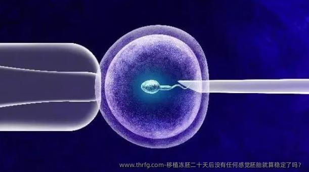 移植冻胚二十天后没有任何感觉胚胎就算稳定了吗？