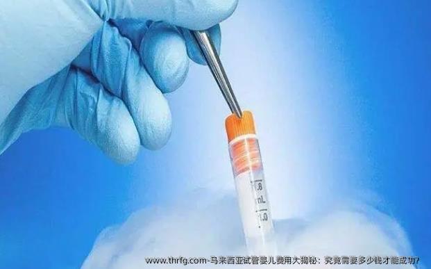 马来西亚试管婴儿费用大揭秘：究竟需要多少钱才能成功？