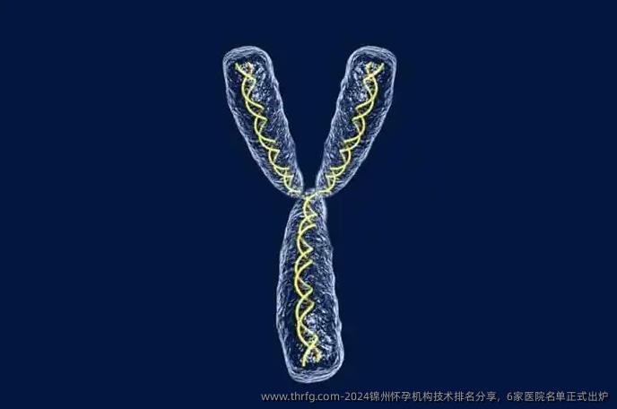 2024锦州怀孕机构技术排名分享，6家医院名单正式出炉