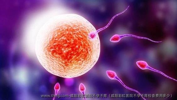 咸阳彩虹医院不孕不育（咸阳彩虹医院不孕不育检查费用多少）