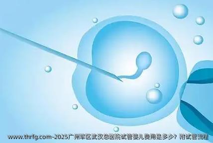 2025广州军区武汉总医院试管婴儿费用是多少？附试管流程