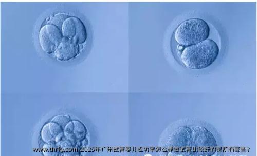 2025年广州试管婴儿成功率怎么样做试管比较好的医院有哪些？