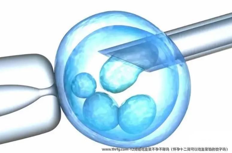 12周能吃韭菜不孕不育吗（怀孕十二周可以吃韭菜馅的饺子吗）