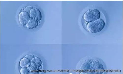 2025北京第三代试管婴儿机构介绍(附试管医院排名)