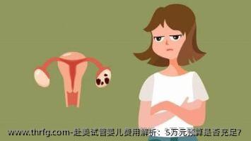 赴美试管婴儿费用解析：5万元预算是否充足？