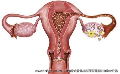 2025延边做试管婴儿的医院哪家成功率比较高