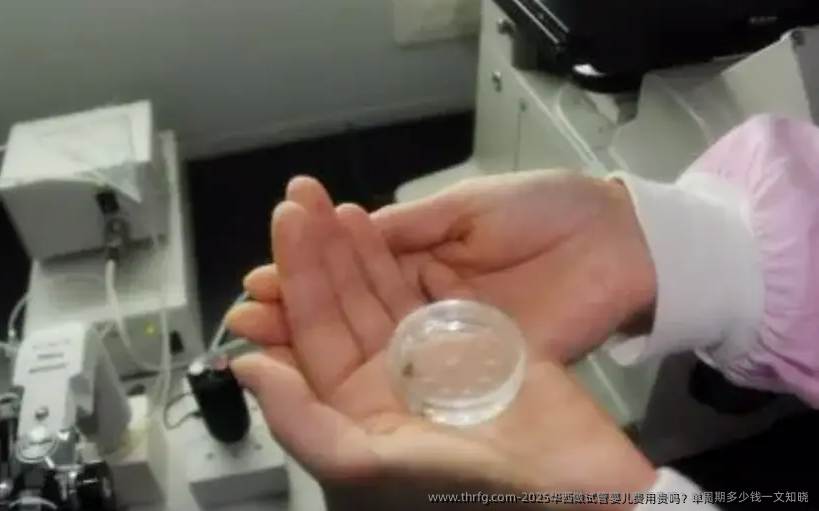 2025华西做试管婴儿费用贵吗？单周期多少钱一文知晓